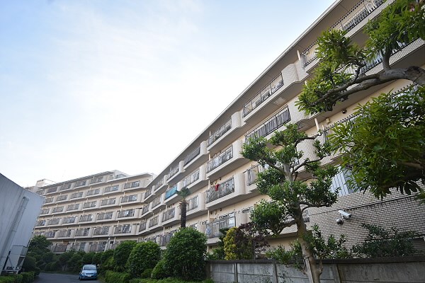 豊栄アンバサダー調布 509号室 外観