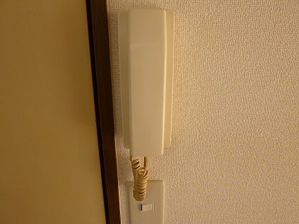 その他11