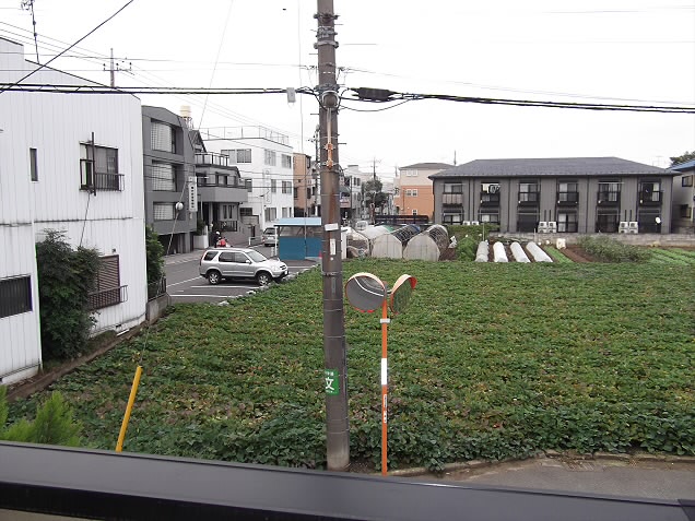 その他9