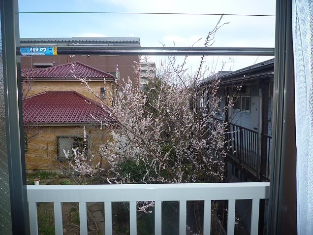 その他7