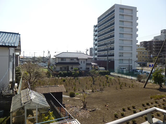 その他8