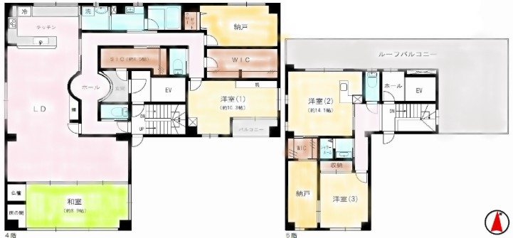 ドエル幸容 間取り