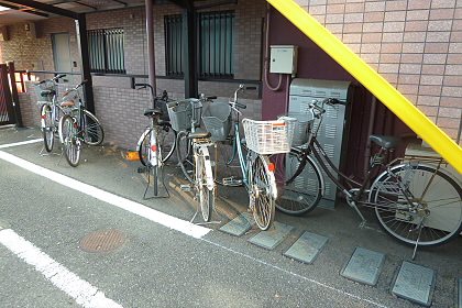 その他11