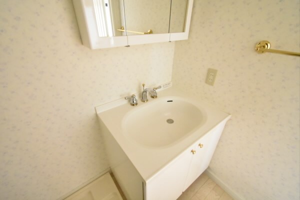 アンジェリカ  その他2