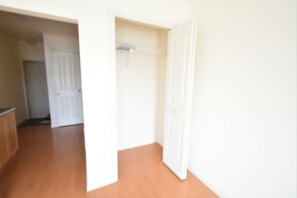 アンジェリカ  その他4