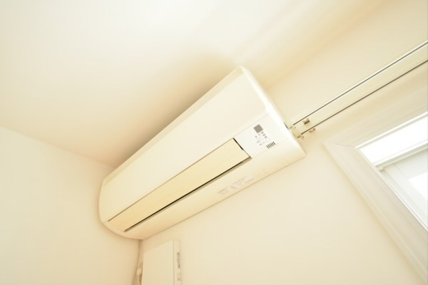 アンジェリカ  その他6