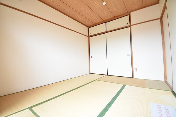 その他12