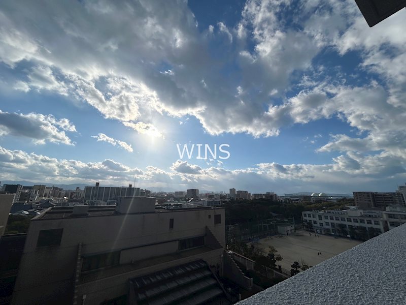 その他7