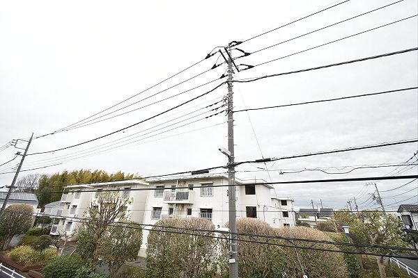 その他3