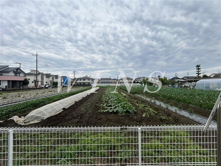 その他7