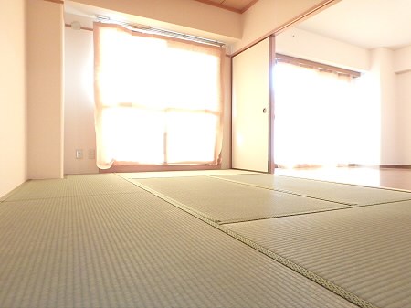 その他12