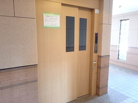 その他13