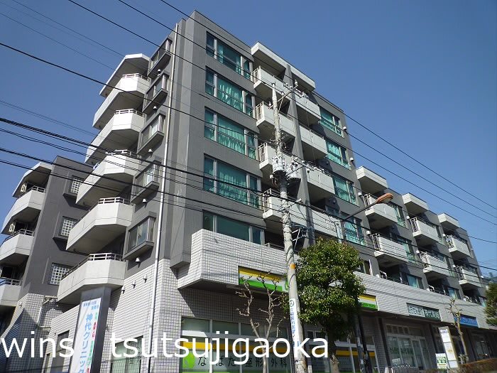 ビラ・サルーテ 502号室 外観