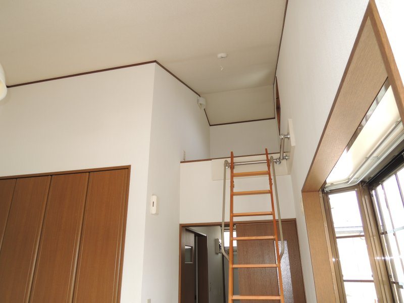 その他11