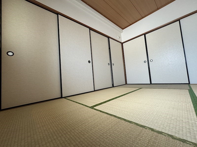 その他11