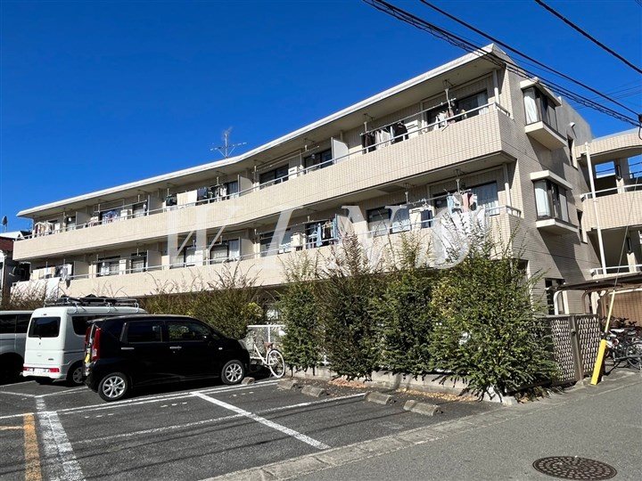 その他11