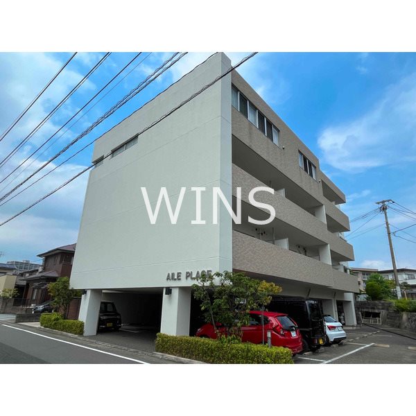 その他11