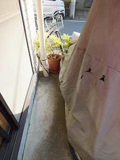 その他3