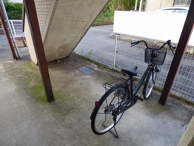 その他11