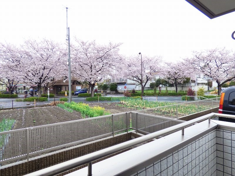その他12