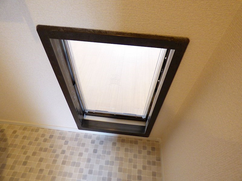 その他12