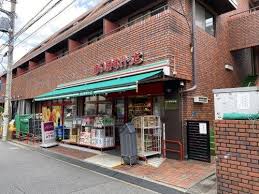 アルフィーネ桜上水 周辺画像2