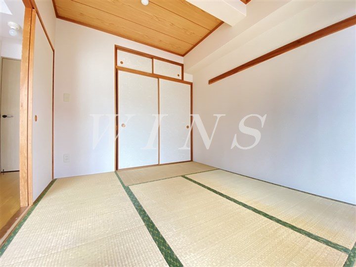 その他13