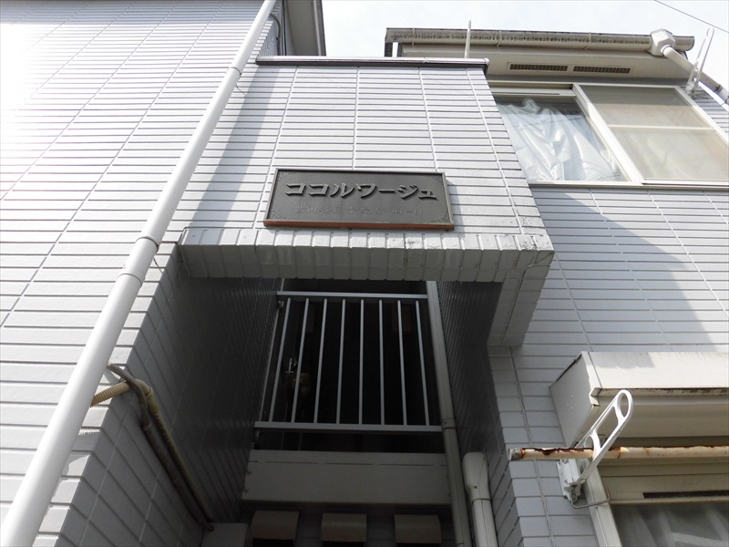 その他11