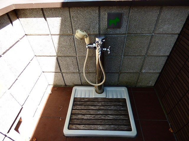 その他11