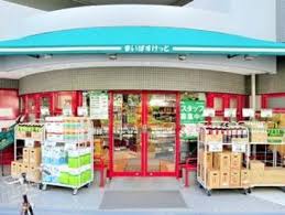 宮沢ハイツ 周辺画像2