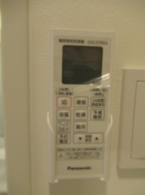Luana　YOYOGI その他4