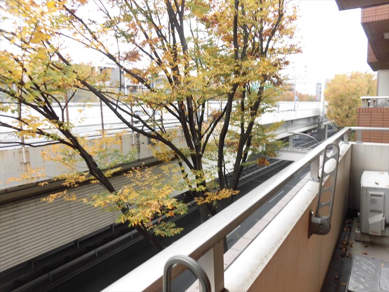 メインステージ桜上水 その他8