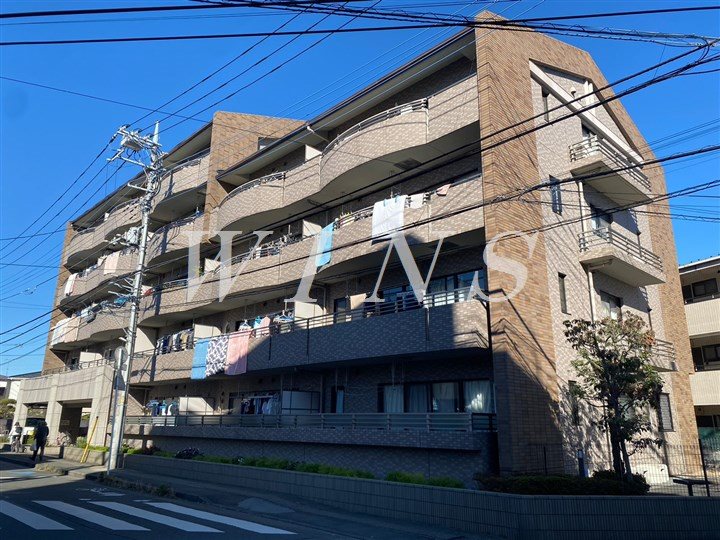 その他11
