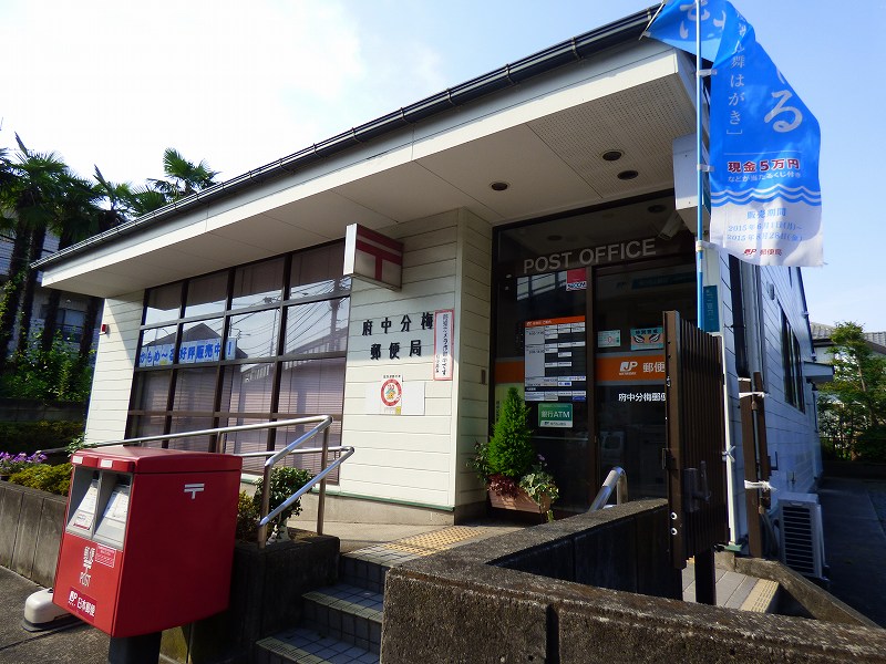 パレット分梅町 周辺画像5
