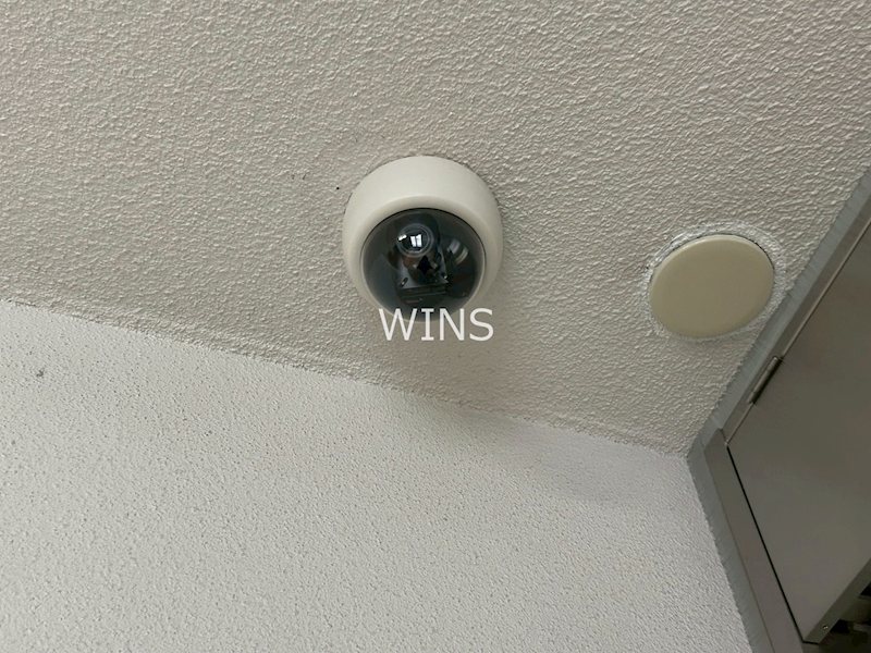 その他5