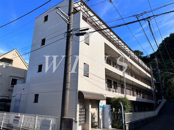 その他11