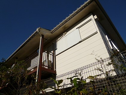 その他11