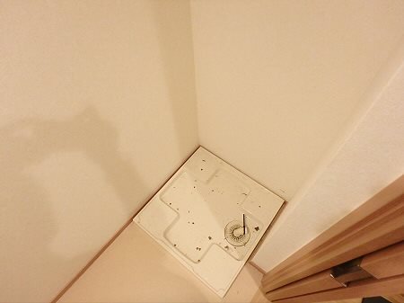 その他12