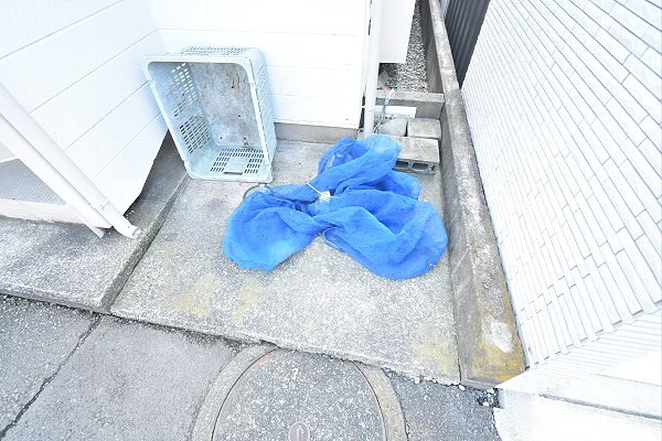 その他11