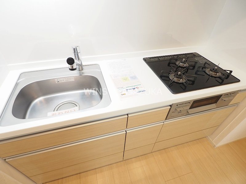 ラ・フォレスタ・コーワ  キッチン