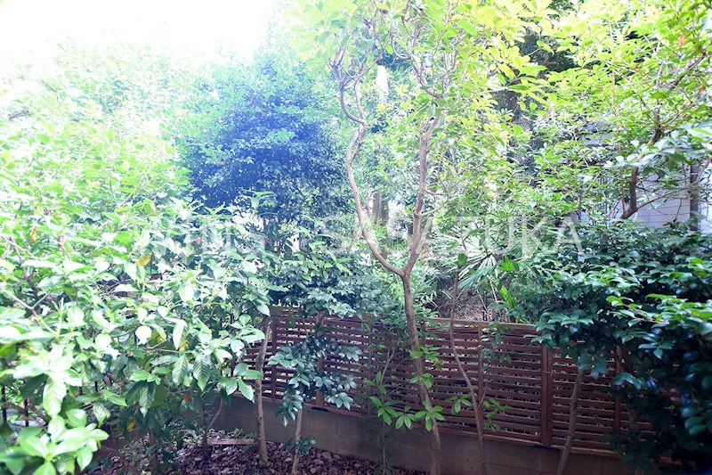 サザンハウス その他4