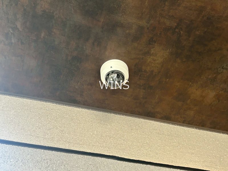 その他11