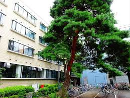 シャルロットⅢ 周辺画像7