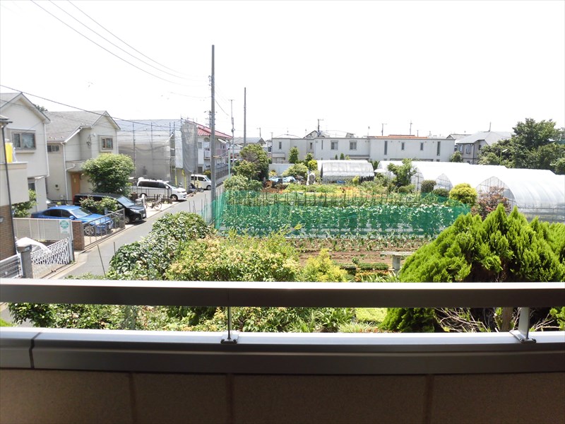 パストラル桜上水 その他4