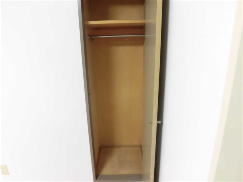 クヌギ その他1