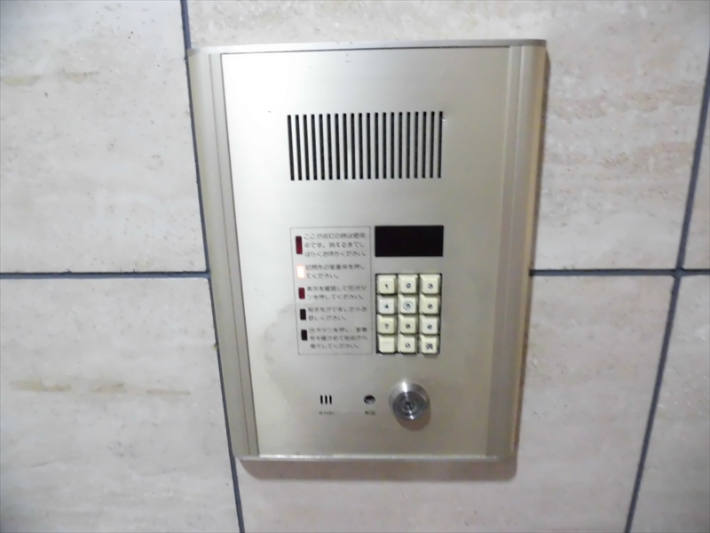 クヌギ その他3