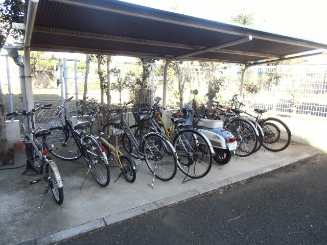 クヌギ その他5