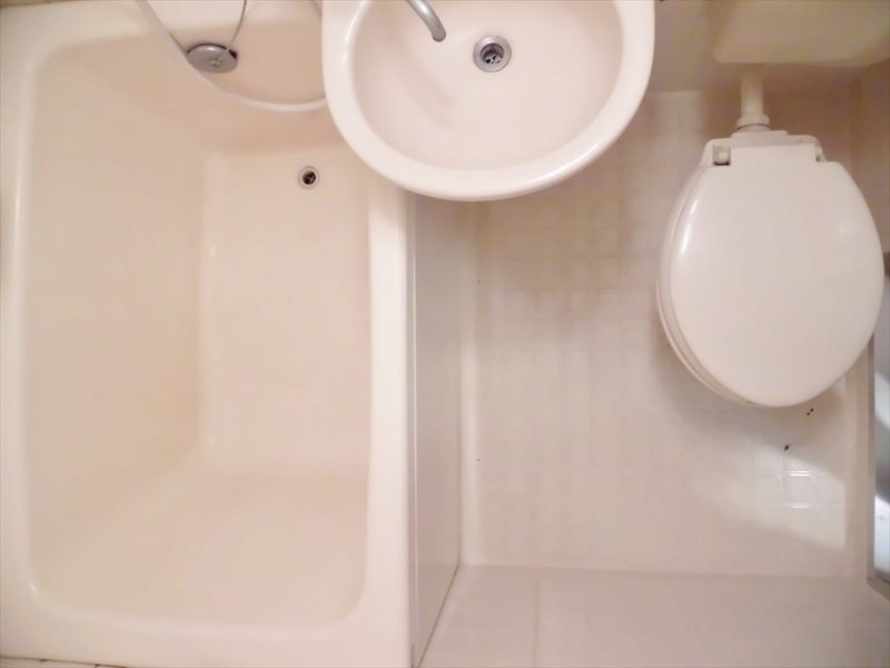 クヌギ その他6