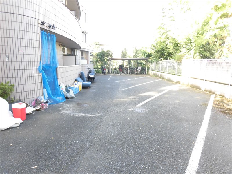 クヌギ その他8