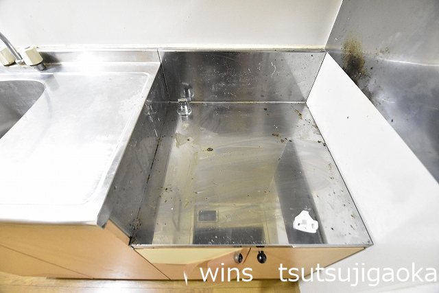 フローラ・K その他7